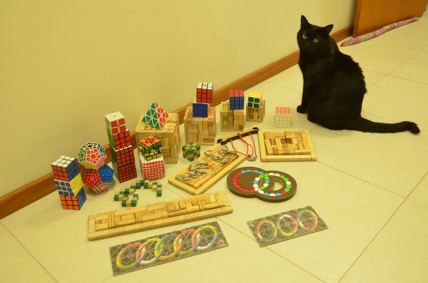 A picture of about 30 puzzles on the ground, and a black cat, looking defiantly at the camera